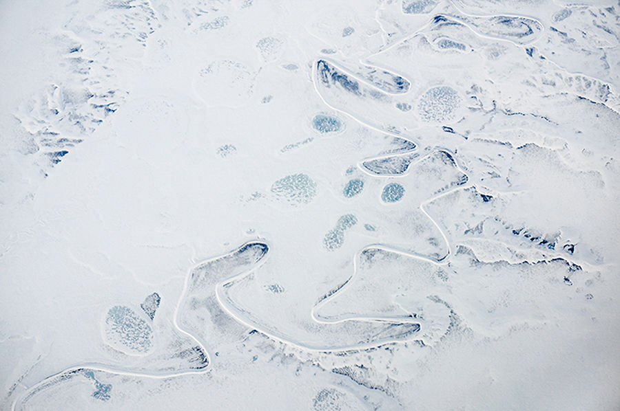 frozen 5
