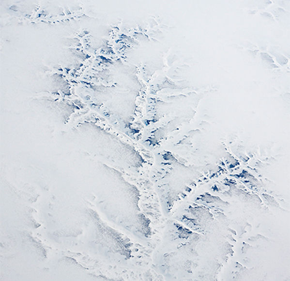 Frozen